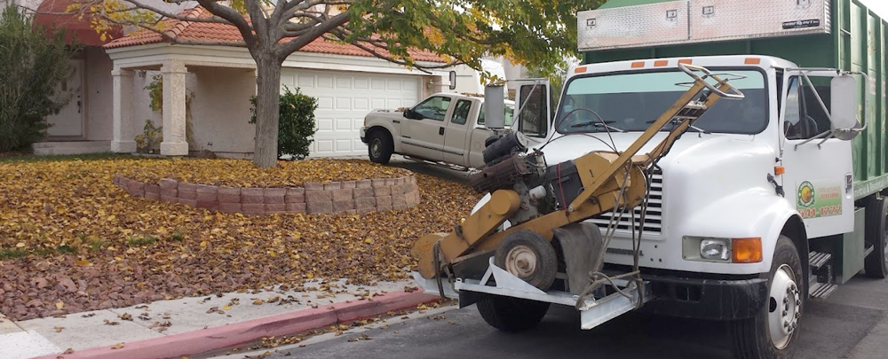 Vegas Best Tree Services cover
