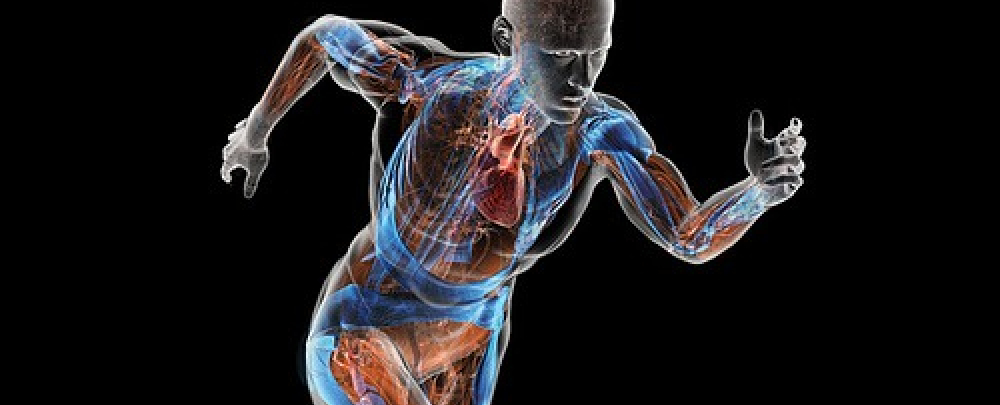 Midtown Integrative Physical Therapy cover