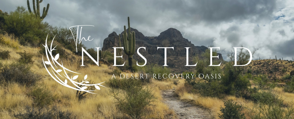 The Nestled Recovery Center cover