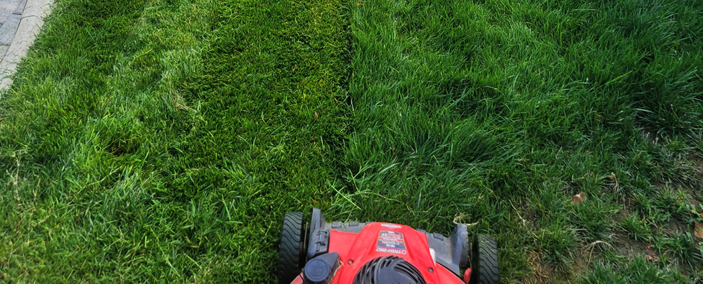 Heavenly's Lawn Care cover