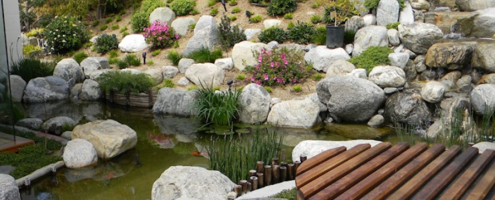 Aquatic Gardens cover