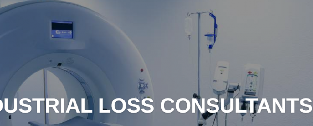 Industrial Loss Consultants Inc cover