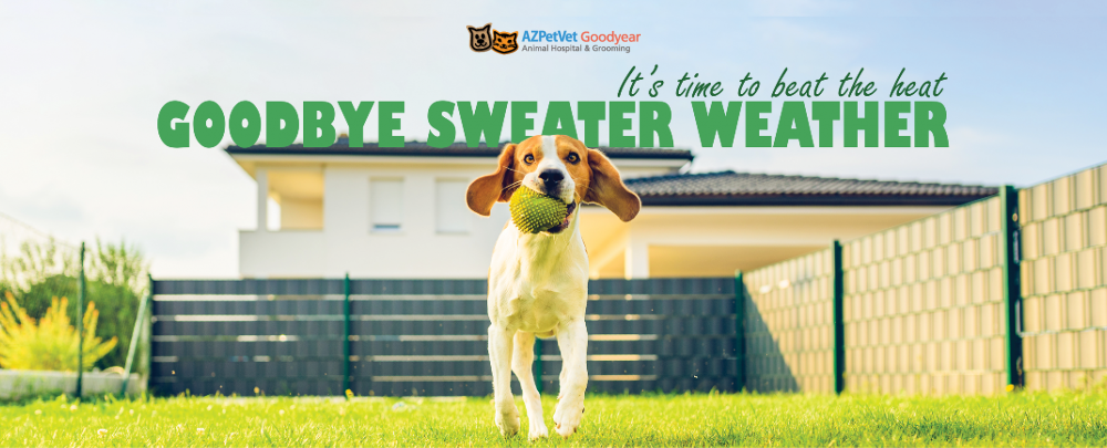 Goodyear Animal Hospital & Grooming cover