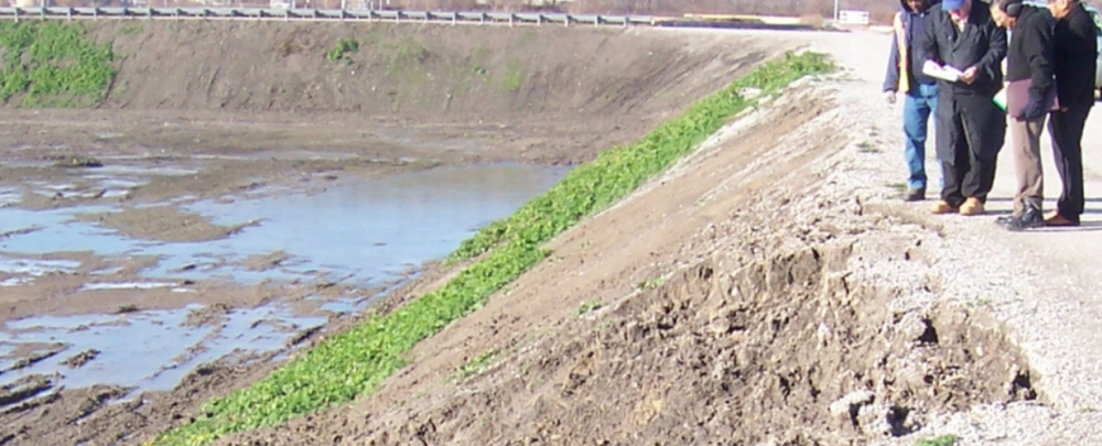 Seeco Consultants cover