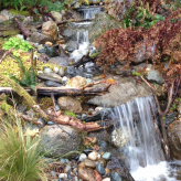 West Coast Landscape & Hardscape logo