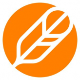 Sky Feather Studios logo