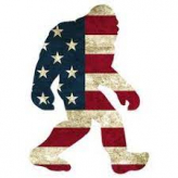 Bigfoot Hauling & Junk Removal logo