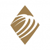 Transworld Business Advisors logo
