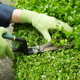 Home & Lawn Care Inc logo