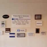 Tamara Sperry Insurance logo