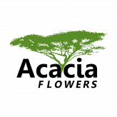 Acacia Flowers - Phoenix Florist and Flower Shop logo