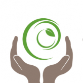 Synergetics Health & Wellness logo