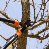Ryken Tree Service logo