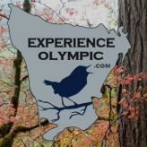 Experience Olympic logo