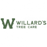 Willard's Tree Care logo