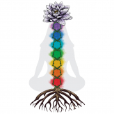 Lotus Rose Wellness logo