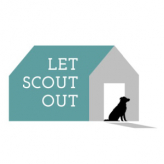 Let Scout Out logo