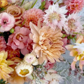 Flower Frenzy logo