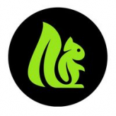 Green Squirrel Lawn Care logo