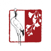 Flying Crane Astrology logo