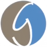 Gasser Dental Implants logo