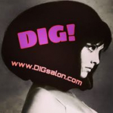 DIG Salon logo