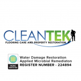 CleanTek logo