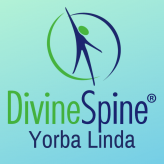 Divine Spine | Orange County logo