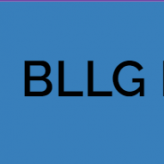 Bo Lee Law Group, APC logo