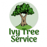 Ivy Tree Service logo