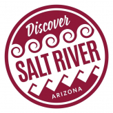 Discover Salt River logo