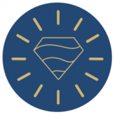 David Tishbi Jewelry logo