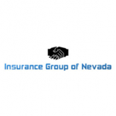 Insurance Group of Nevada Corp logo