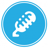Taylor Robinson Music Lessons logo