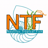 Nautilus Tropical Fish logo