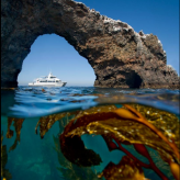 Island Packers Cruises logo