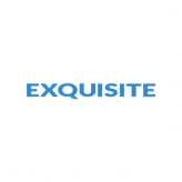 EXQUISITE SOFTWARE logo