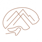 Persist Psych logo