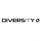 DIVERSITY IT logo