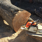 Next Generation Tree Care logo