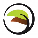 Transitions Counseling and Consulting | North Phoenix logo