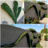 Organic Landscape Services logo