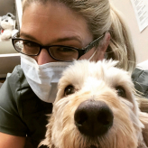 Goodyear Animal Hospital & Grooming logo