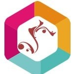 Visualwebz | Seattle SEO & Web Design logo